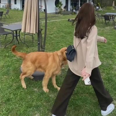 最后的法师